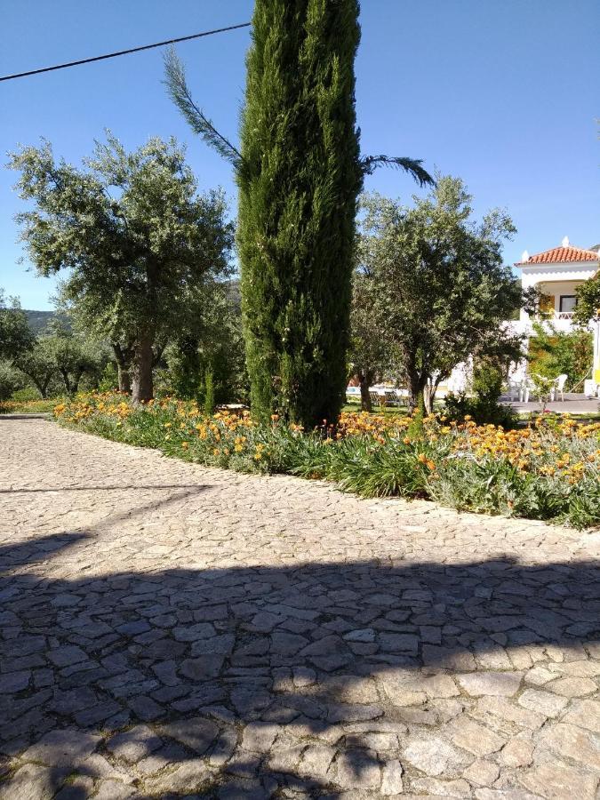 Casa Da Paleta Guest House Castelo de Vide Exterior foto